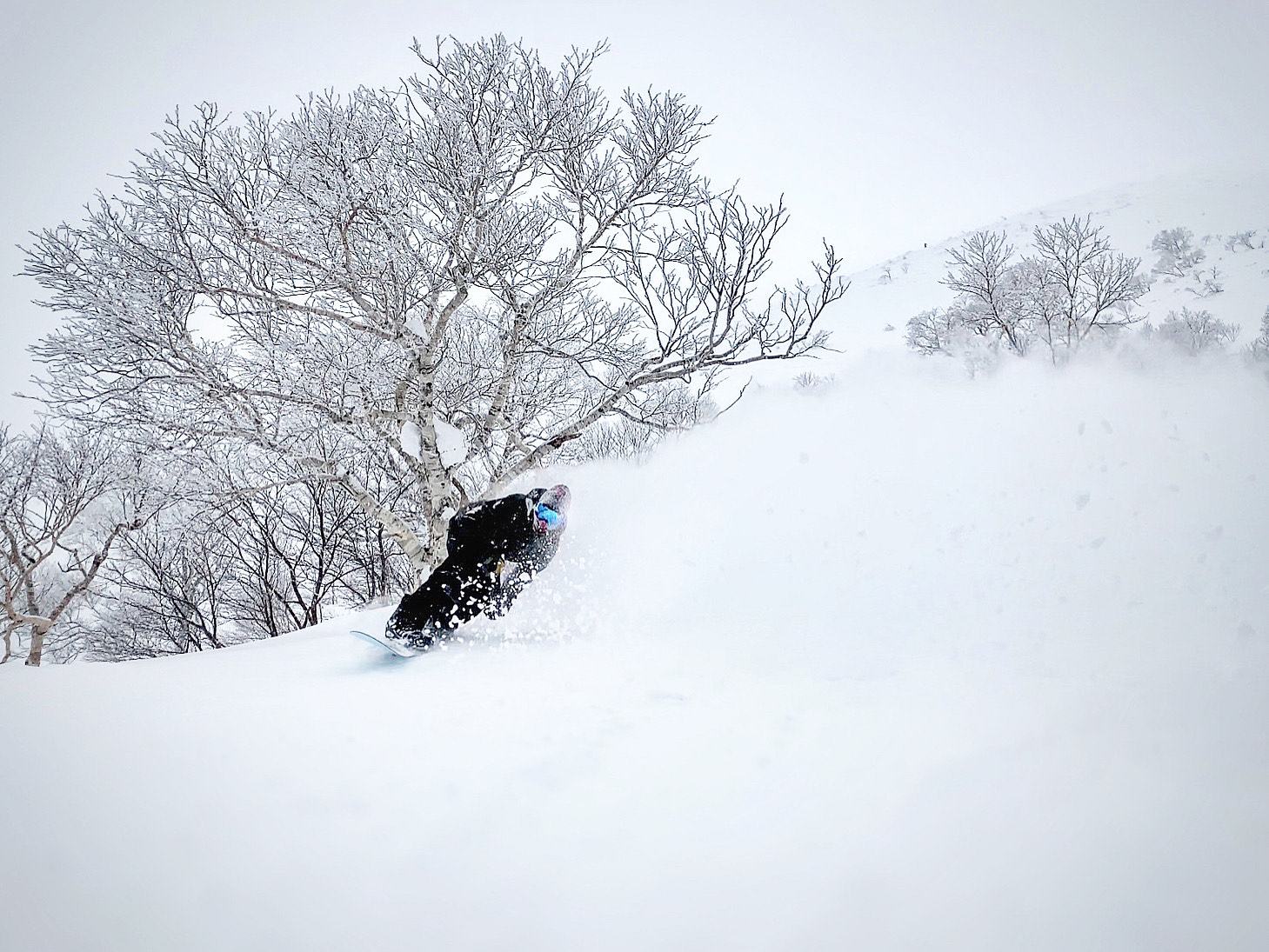 snowboarding in niseko