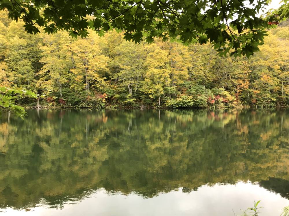 Autumn colours in Japan