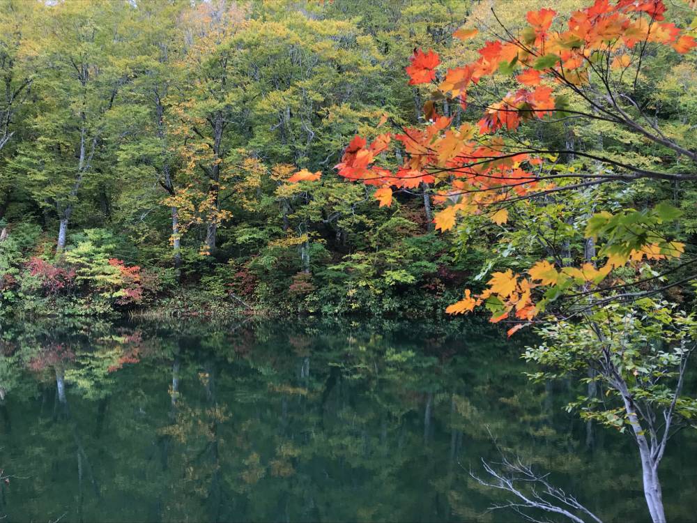 Hakuba Autumn colours