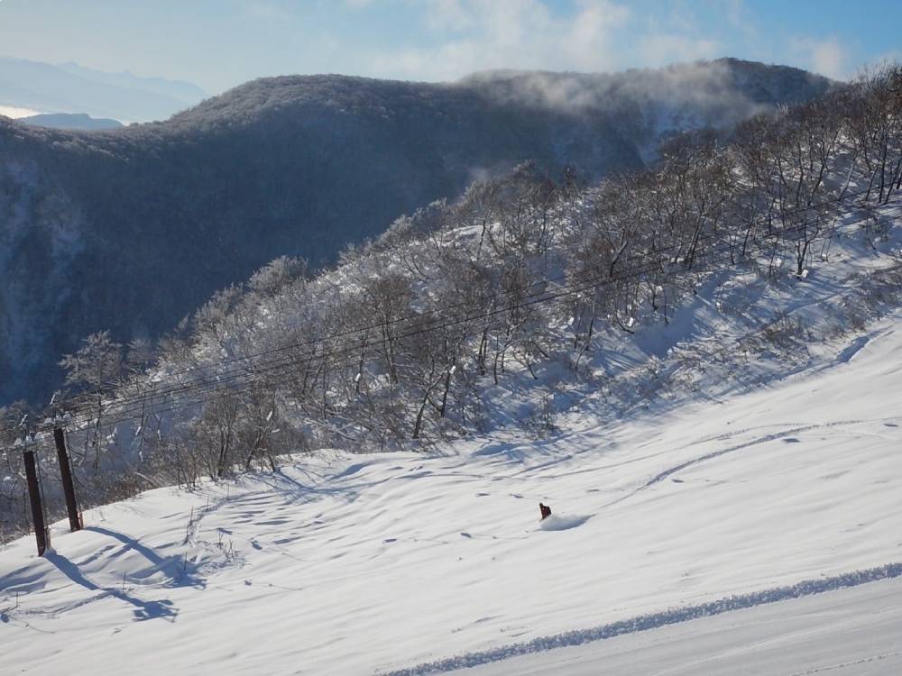 Early Season Fresh Powder at Hakuba Goryu Ski Resort