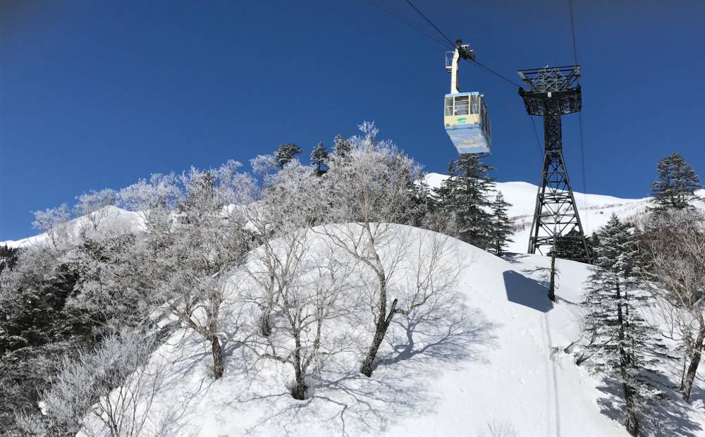 Tsugaike Ropeway Cable Car