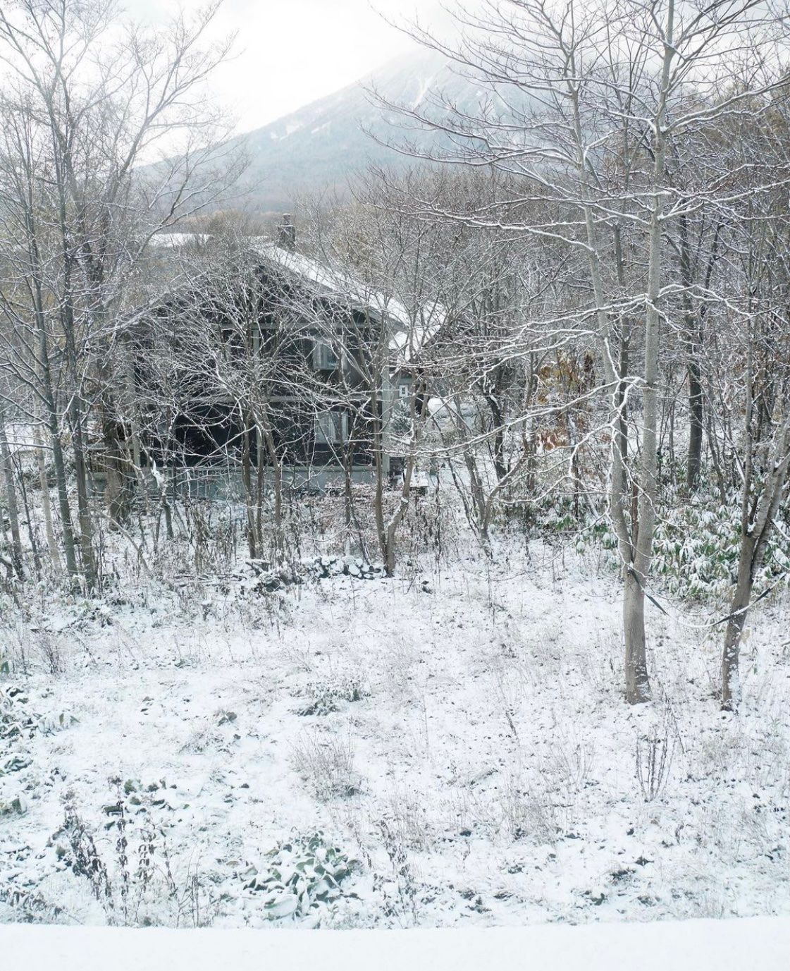 Hirafu Snow
