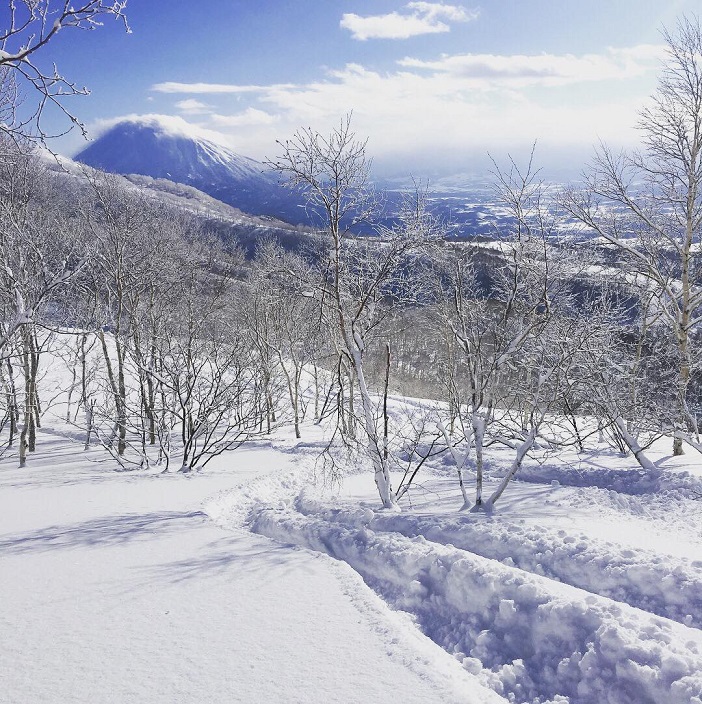 powder track by snowboarder in niseko