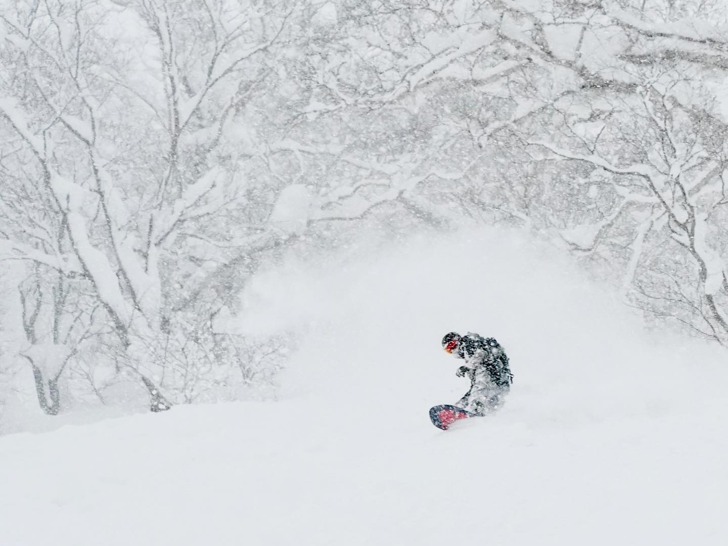 Niseko powder