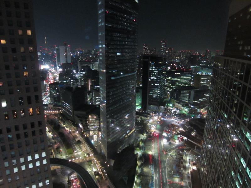 Stay in Tokyo